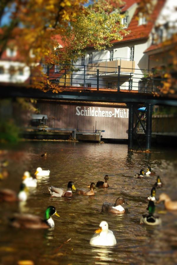 Altstadtapartment An Der Kraemerbruecke Nr.2 エアフルト エクステリア 写真